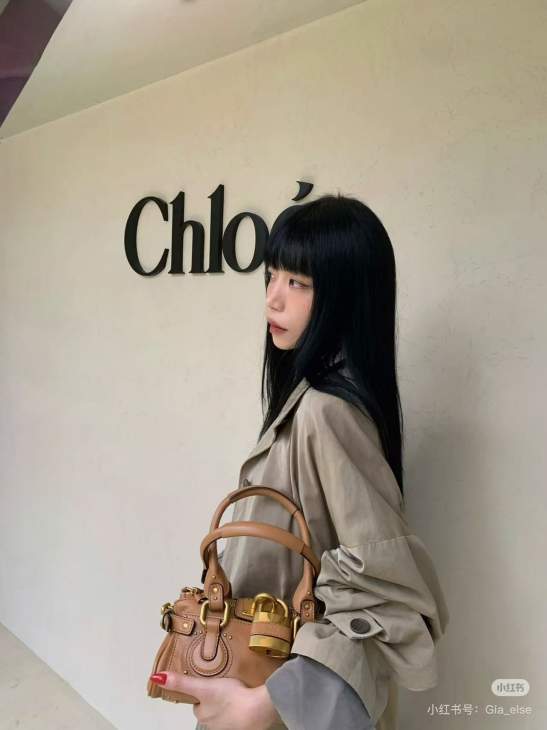 Picture of Chloe Handbags _SKUfw223579033fw